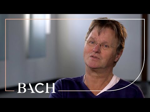 Root on Bach Flute Partita in A minor BWV 1013 | Netherlands Bach Society