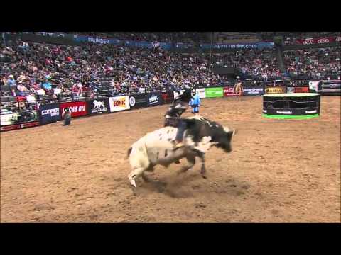 Select Rodeo Bull Sale - March 16th, 2016 on The Breeder's Connection