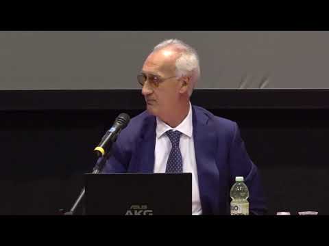 Le società Partecipate Da Amministrazioni Locali  SALVATORE PILATO