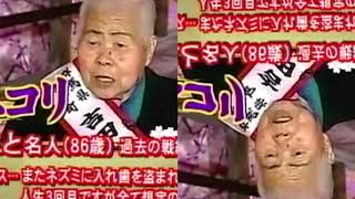 テンプレート7  ペコリ