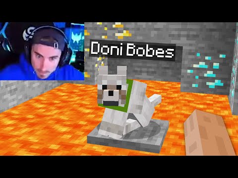 I disguised as a Streamers Pet to troll him on Minecraft...