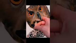 This woman helped a sick owl recovered and was happily released #helping #respect #shorts