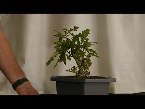 Abfall Teil 2, die richtige Version