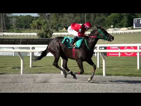 221230 c06 PARABOLICA