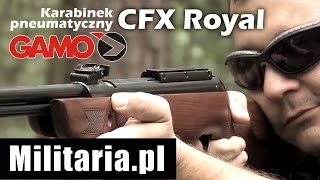 Gamo CFX Royale