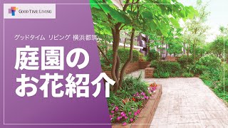 庭園のお花紹介～花言葉を添えて～