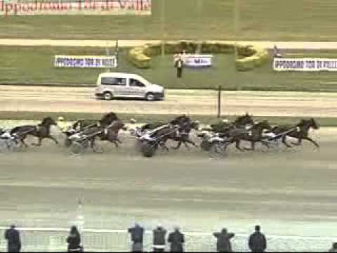 Premio Guido Berardelli Filly 2011 -Oudry dei Veltri