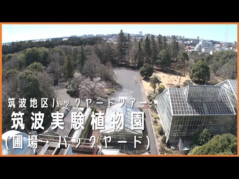 国立科学博物館 筑波実験植物園(圃場・バックヤード)