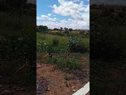 nossa querida são José dos Quatro Mato Grosso 🇧🇷