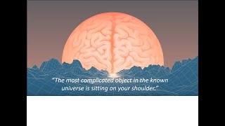 [情報] Imec徵PhD 腦機介面無線通訊系統