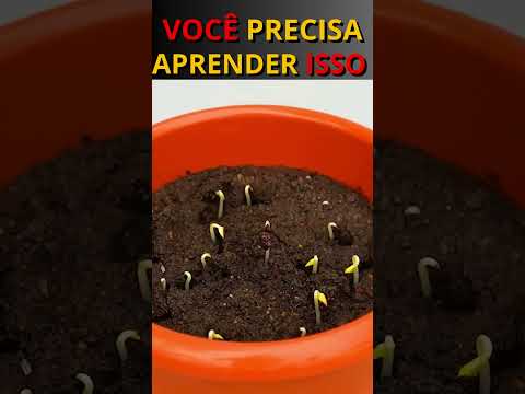 Como Plantar Sementes de Maçã em Casa! ? #shorts