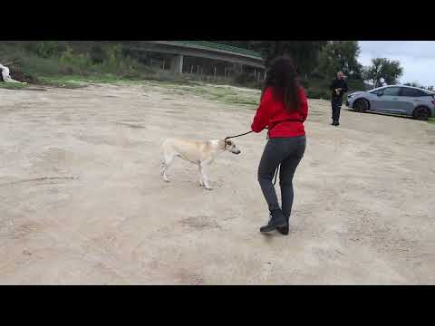 Vídeo de DONNA