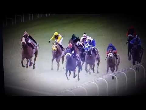 BUFFALO BILL CODY by Redoutes Choice wins today prep at #Turfontien