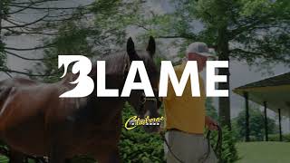 Claiborne Farm Blame August 2025