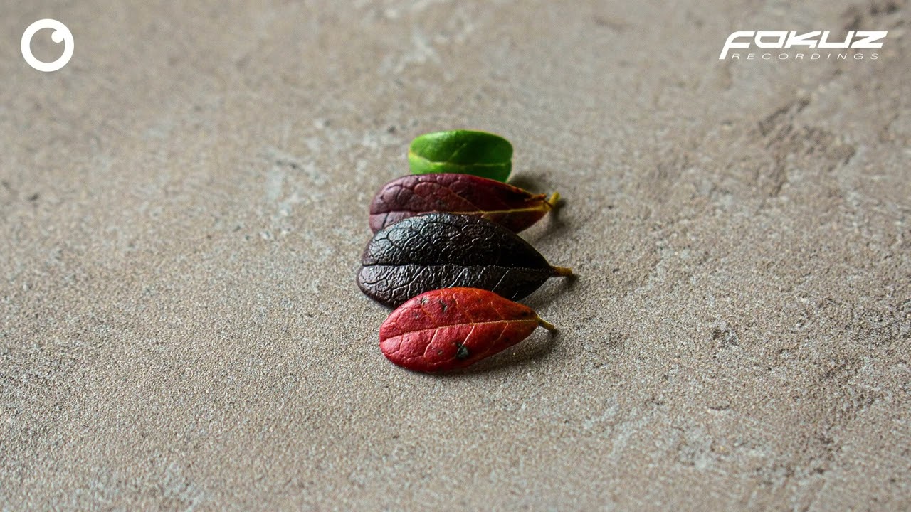 Rafau Etamski - Changes