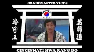 preview picture of video 'Yum's Hwa Rang Do Cincinnati 2014'