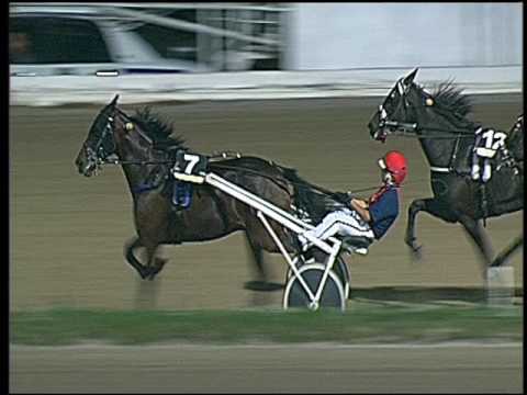 Trotto 30/09/2016 - 8ª corsa