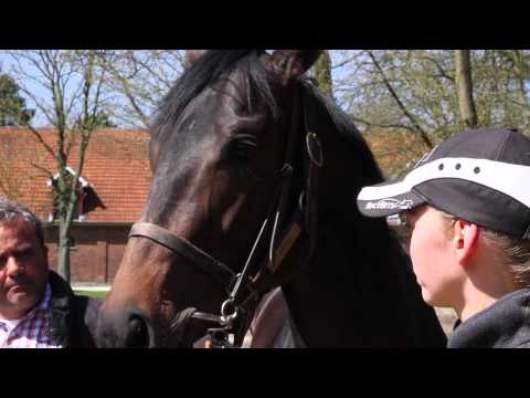 Galopper im Profil - Zu Gast bei Andreas Wöhler Teil 1