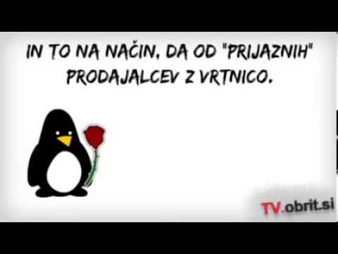 Pri nas je Valentinovo celo leto