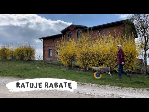 #countrygarden. I sow grass, stretch my legs on the barrel, laugh at the hate, and even save the ...