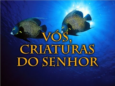 015 Vós, Criaturas do Senhor - Hinário Adventista HD