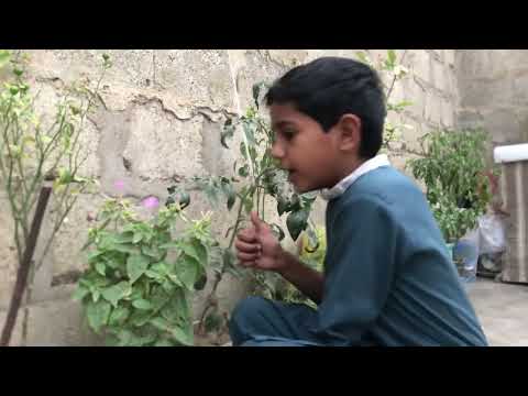 My first vlog please subscribe