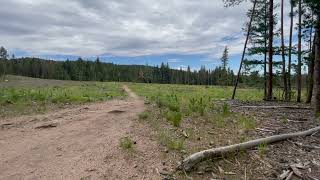 Bird Sounds at Flying J Ranch Park