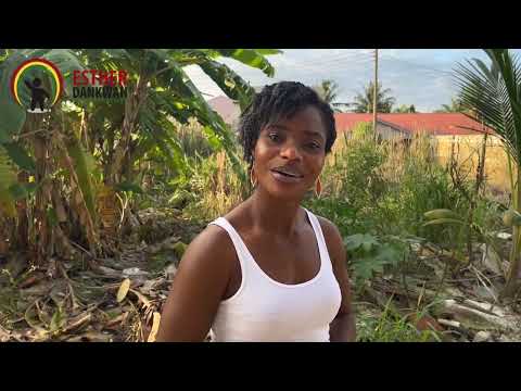 Esther Dankwah talks about Faith Ladies