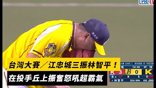 [分享] 江忠城振奮嘶吼影片