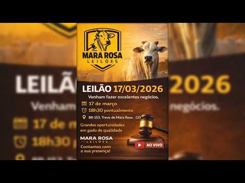 MARA ROSA LEILÕES - GOIÁS - LEILÃO DE GADO DE CORTE 17/03/2026