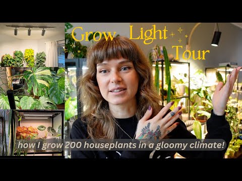 💡 all about my grow lights! 34 lights, 7 brands, pros + cons, & my experience ($10-$200+ options) ✨