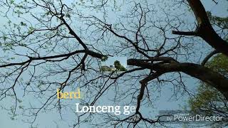 Download lagu GLORY HALELUYA  Cipt :  Frans Dorelagu mp3