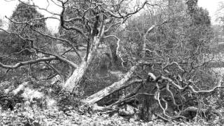 Percy Shelley: &quot;Invocation to Misery&quot;