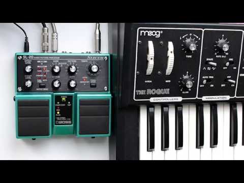 Boss SL-20 slicer with Moog the Rogue