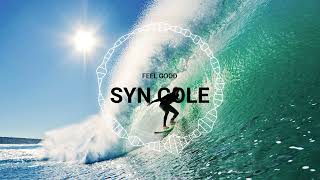 Syn Cole - Feel Good [NCS Release] 1 Hour Loop
