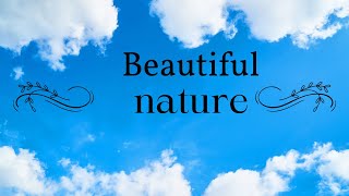 A QUIET PLACE IS A PEACEFUL AND BEAUTIFUL MIND