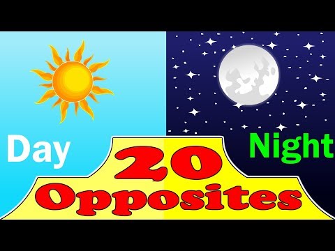 20 Opposites in English for kids | Opposite words  for Preschool @kid2teentv Video