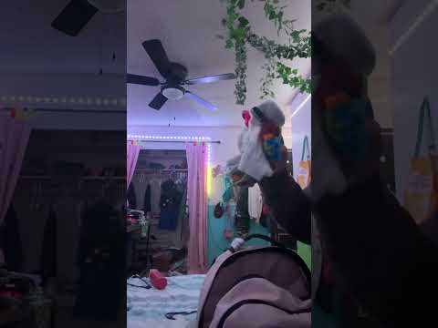 There were more than 20 socks in my bag:…..