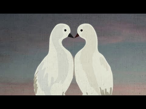 Веродар - Голуб и голубица | Verodar - Golub i golubica (Official Video)