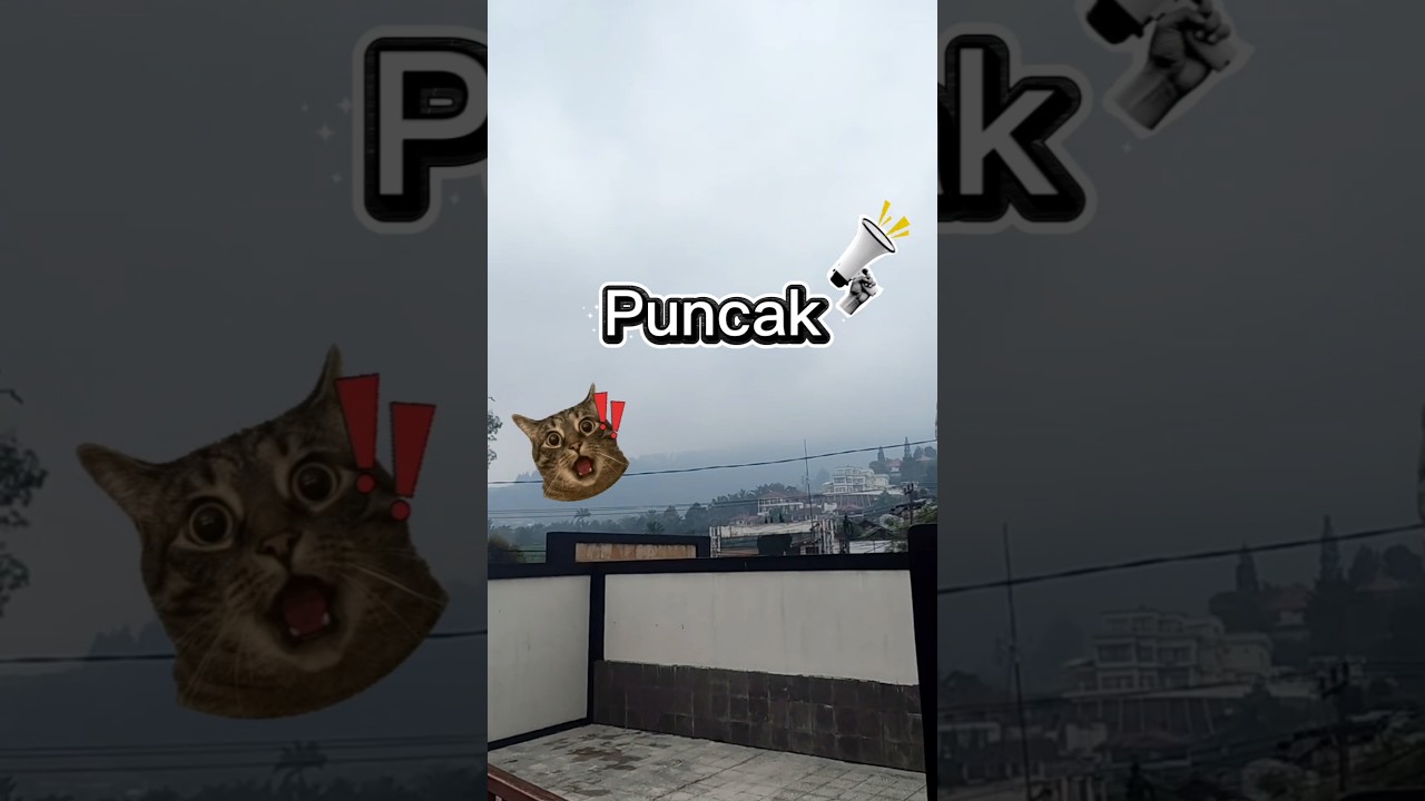 Part 1 | Jalan-jalan ke Puncak sama temen sekelas #vlog #trip #puncak #shorts