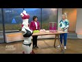 5 Basic BH S Die In Keiner Unterwäscheschublade Fehlen Sollten