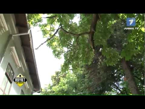 ASFALT DE MOLDOVA   Parcul şi conacul din Micleşti