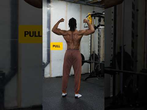 PULL Day Workout (Dumbbells Only)