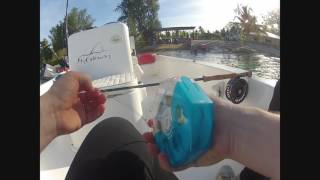 OmniSpool Switch - Zelená