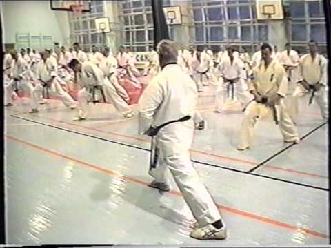 Правильное построение и ходьба в дзенкуцу-дати (Фомин)