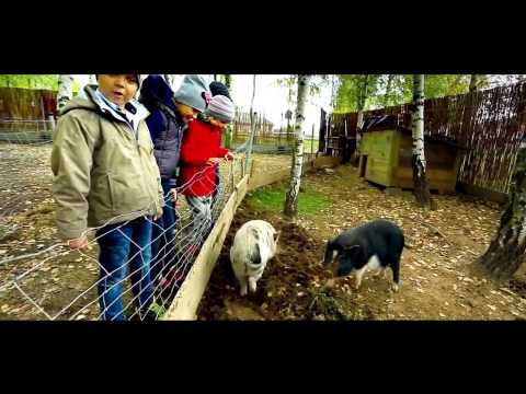 Kompleks Swietokrzyska Polana