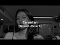 Tareefan Badshah Slowed Reverb