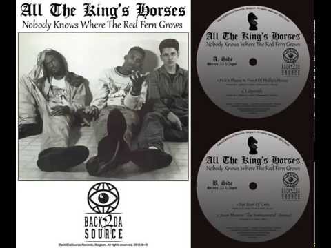 All The King's Horses - Nobody Knows Where The Red Fern Grows 'SNIPPETS' [Back2DaSource Records]