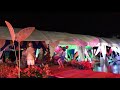 Butterfly Medley Show Pool Party
