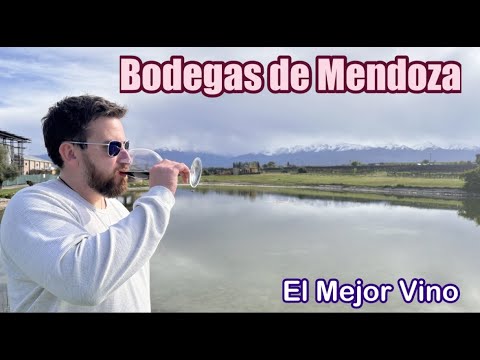 Las Bodegas de MENDOZA | El mejor Vino ARGENTINO